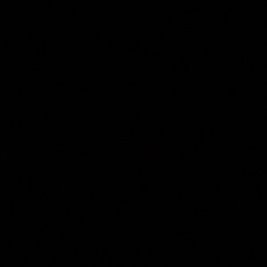 Meet your Posher, Zoe